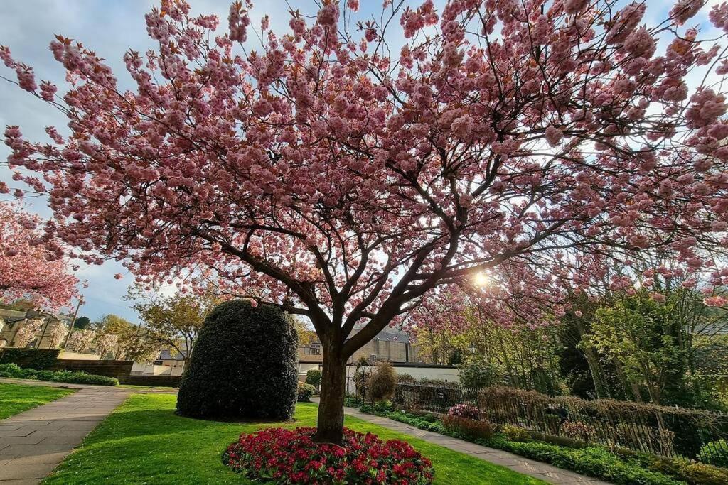 Crystal Cottage - 5 Min Walk From Holmfirth Town Centre Exterior foto